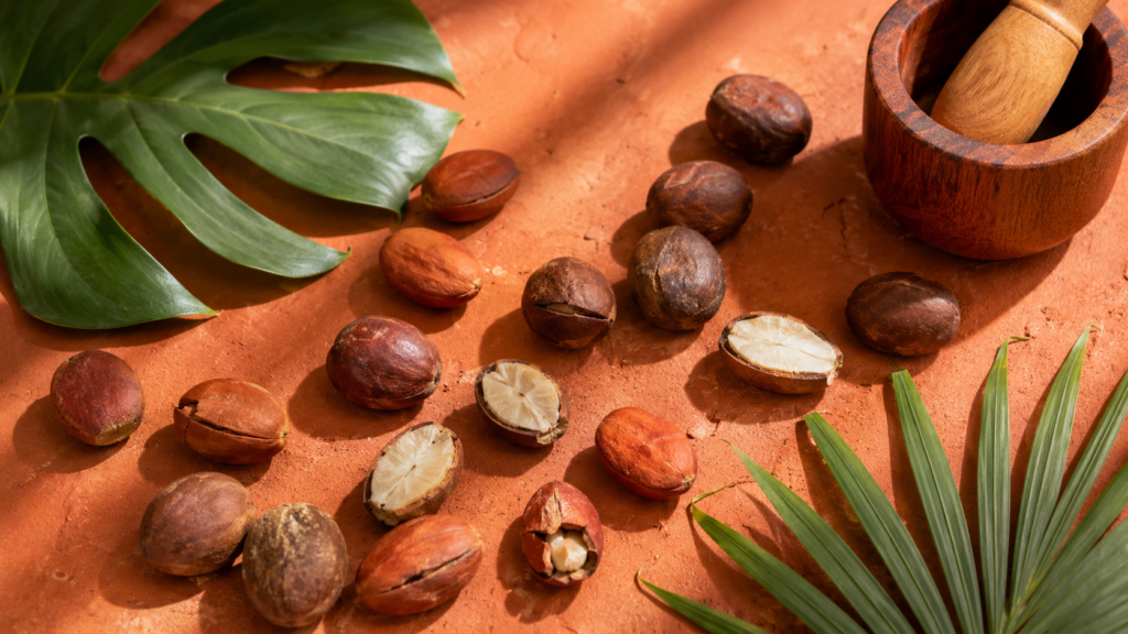 Petit cola (Garcinia kola) : bienfaits, posologie et propriétés petit cola - Naturall Store